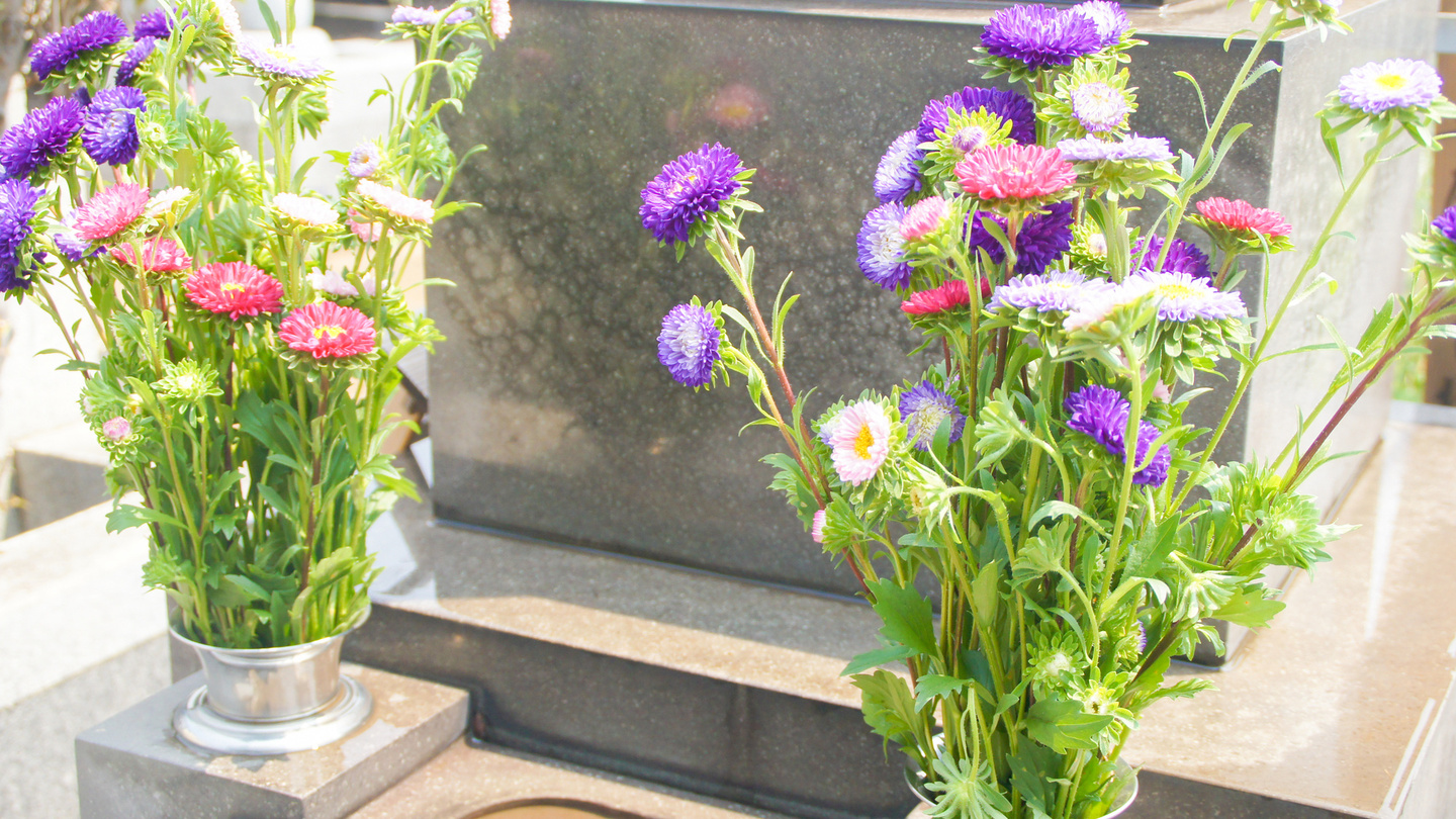 新座市営墓園：メンテナンス